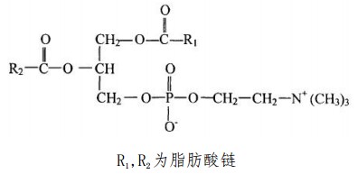 蛋黃磷脂酰膽堿