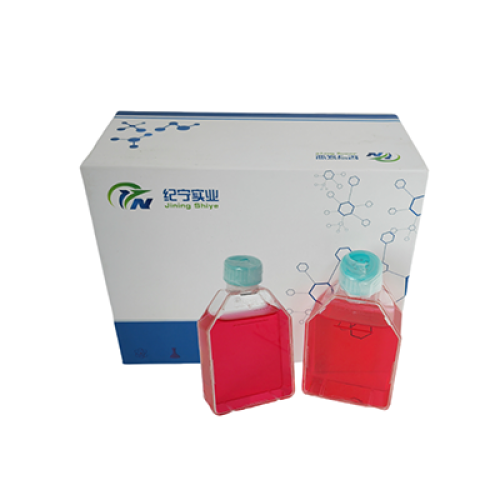 VERO C1008 [Vero E6]非洲綠猴腎細胞