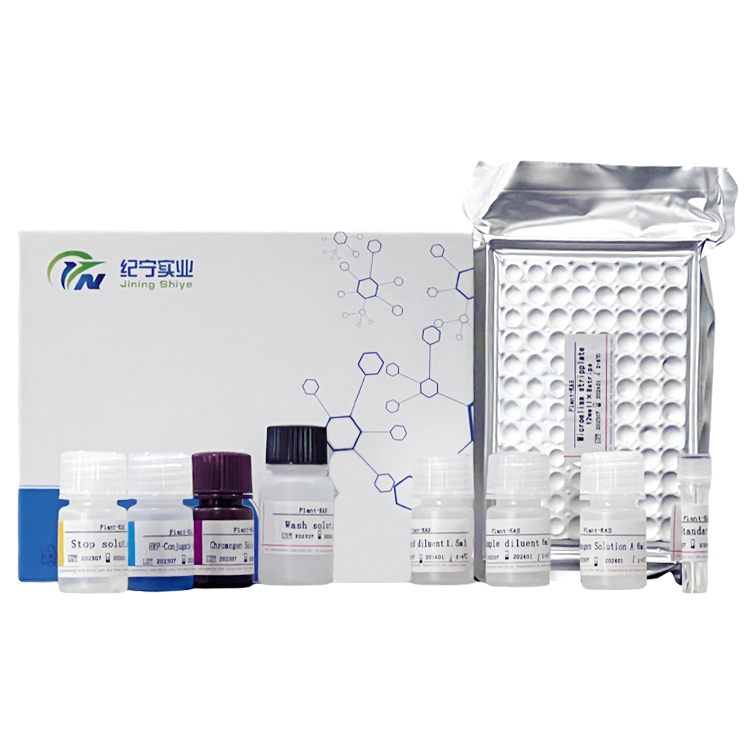小鼠血管生成素1(ANG-1)ELISA試劑盒
