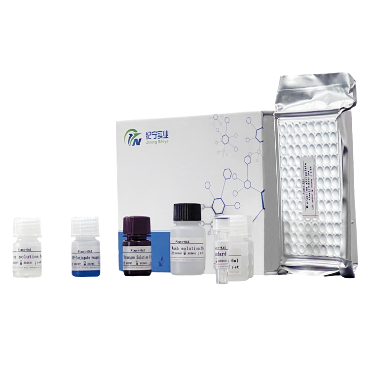 小鼠抗脊髓灰質(zhì)炎Virues1-3 IgG抗體(anti PV1-3 IgG)ELISA試劑盒