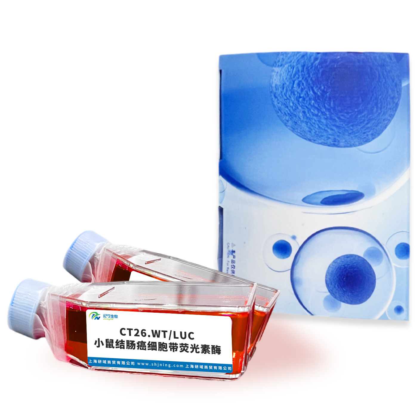 CT26.WT/LUC小鼠結腸癌細胞帶熒光素酶